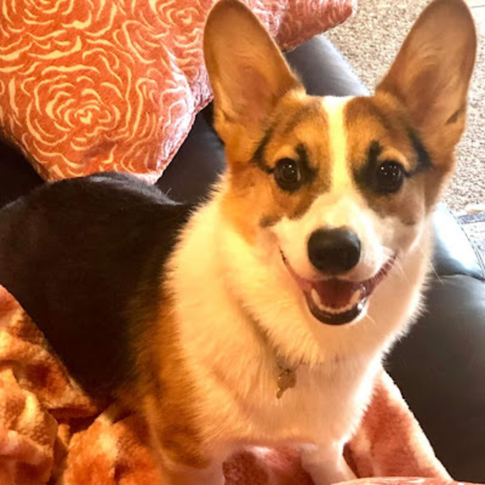 Meet your Posher, Arien